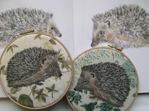 two hedgehogs 054