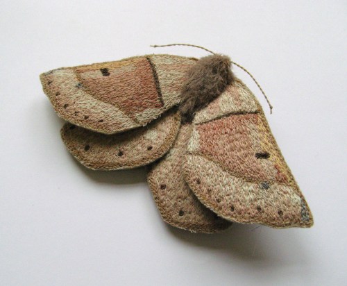 moths for etsy 028